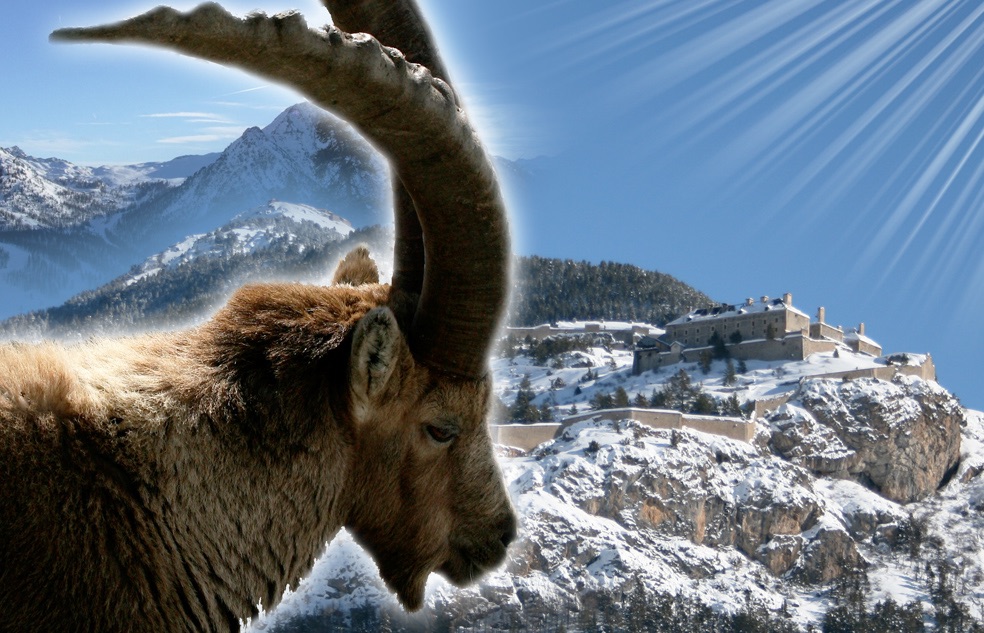  Un havre de paix entre montagne et patrimoine. 